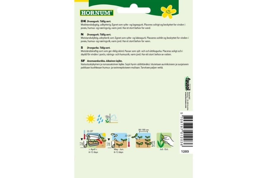 Frø Drueagurk ‘Vorgebirgstrauben’ – Smakfull sylteagurk for friland