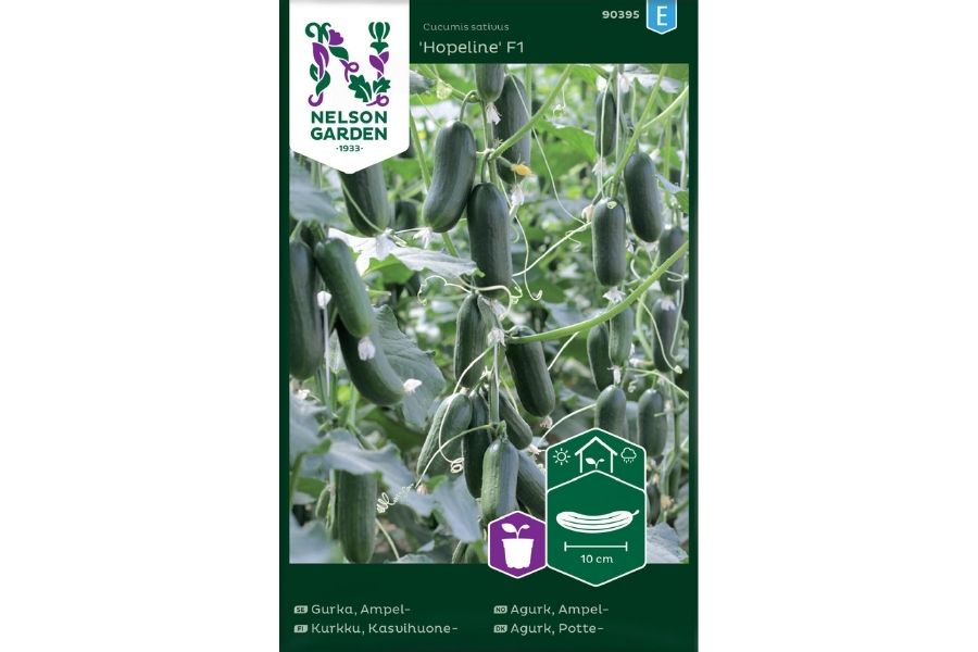 Agurk, Ampel-, mini, Hopeline F1