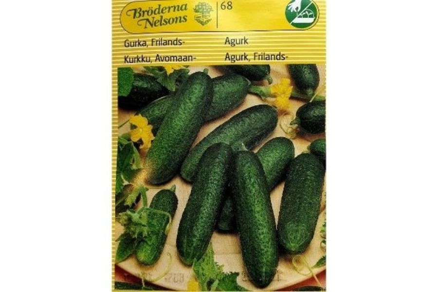 Frø Drueagurk ‘Profi F1’ – Frilandsagurk for sylting