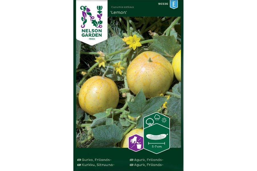Agurk, Frilands, Lemon