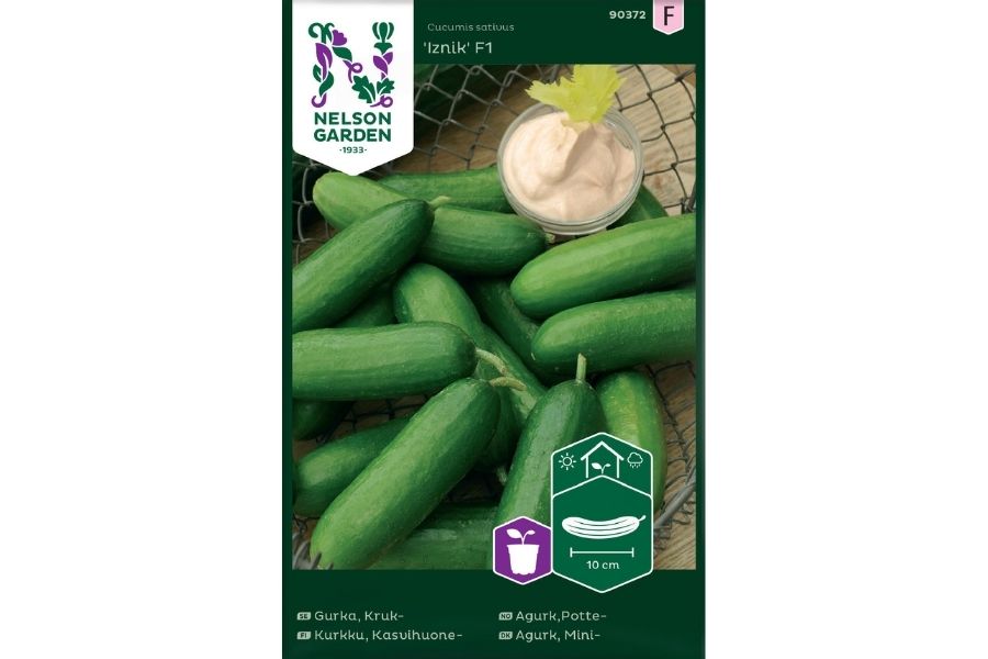 Agurk,Potte-, Veksthus, Iznik F1