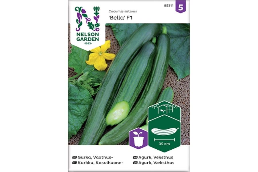 Frø Agurk ‘Bella F1’ – Lettdyrket slangeagurk for veksthus