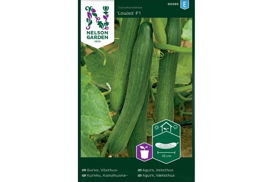Frø Agurk ‘Louisa F1’ – Motstandsdyktig slangeagurk for hobbydrivhus