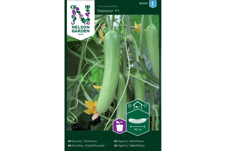 Frø Agurk ‘Delistar’ – Mini-slangeagurk for veksthus