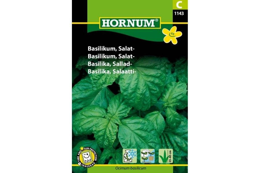 Basilikum Salat – Mild og aromatisk basilikum med store blader