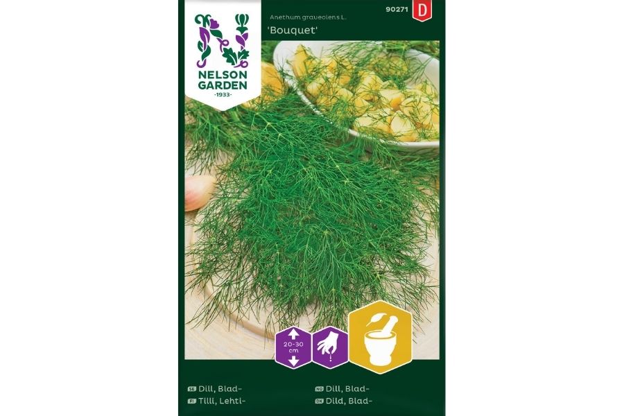 Dill, Bladdill 'Bouquet 2'