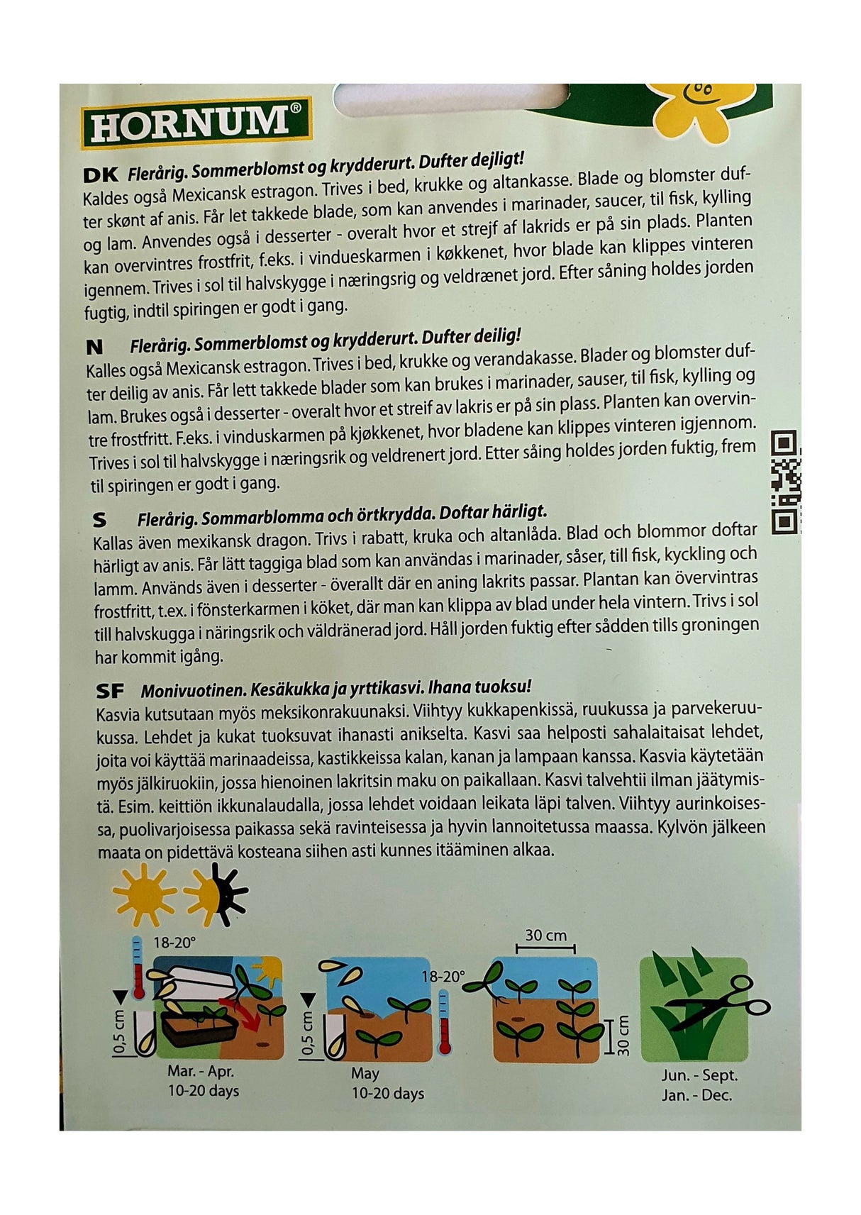 Fløyelsblomst 'Lakris Sweet Mace' (Tagetes) – Aromatisk Sommerblomst og Krydderurt