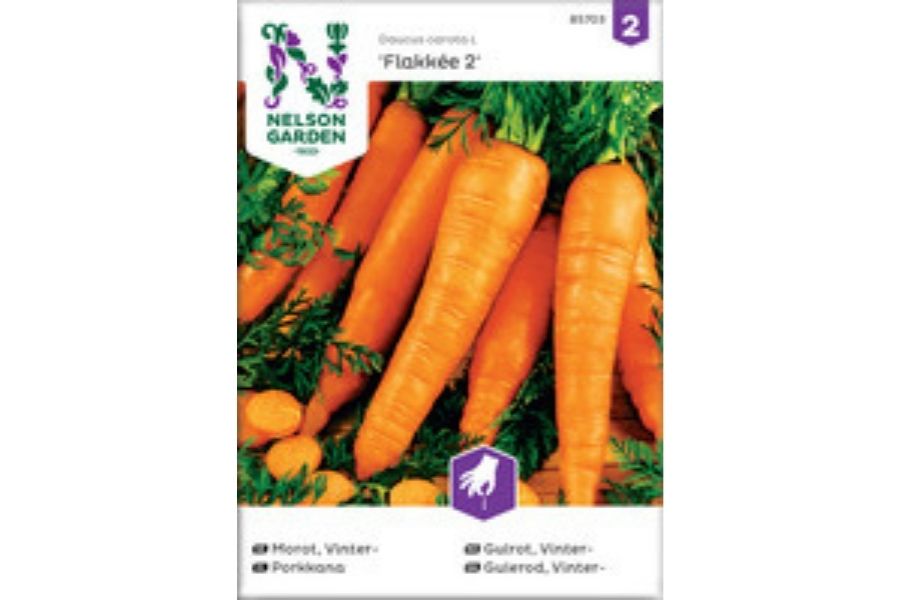 Gulrot 'Flakkee 2' – Vintergulrot for Rik Avling og Lagring