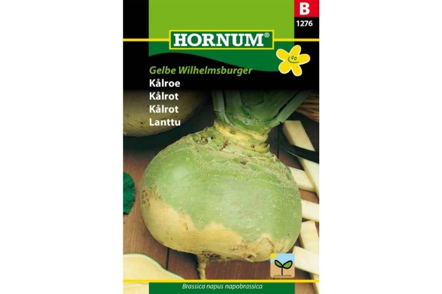 Kålrot 'Gelbe Wilhelmsburger' – Gule roer med god smak og hurtig utvikling