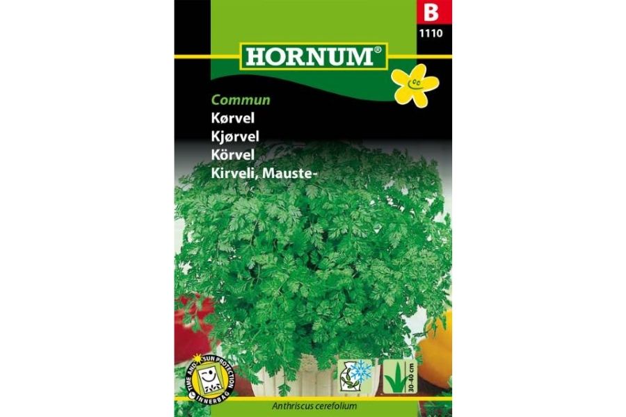 Kjørvel Vertissimo – Ettårig urt med søtlig, anislignende smak