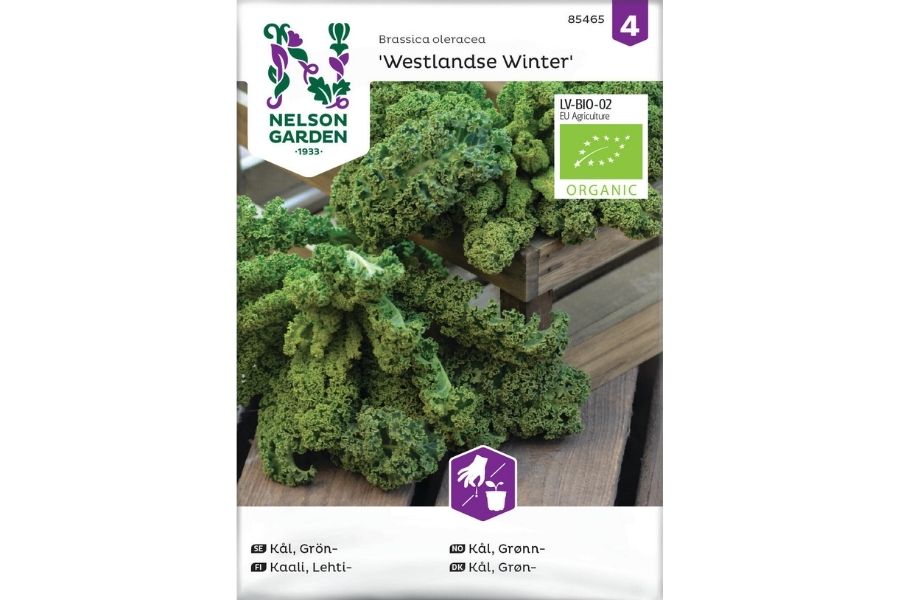Kål, Grønn-, Westlandse Winter, Økologisk