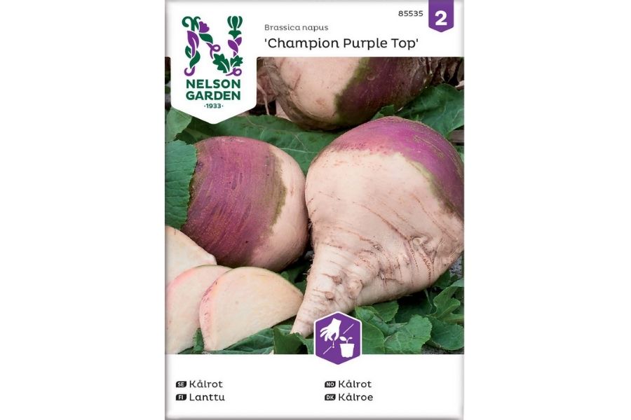 Kålrot 'Champion Purple Top' – Saftig og Smaksrik Rotfrukt