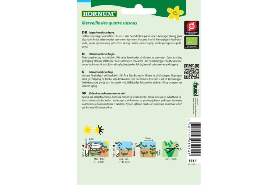 Økologisk Hodesalat 'Merveille des Quatre Saisons' – Vakker og Smakfull Gjennom Hele Sesongen