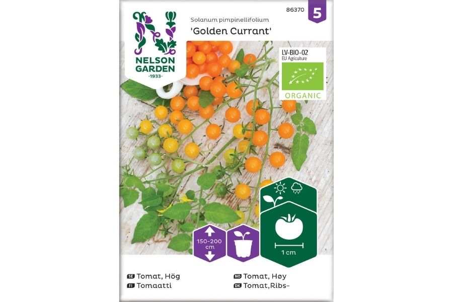 Økologisk, Tomat Golden Currant