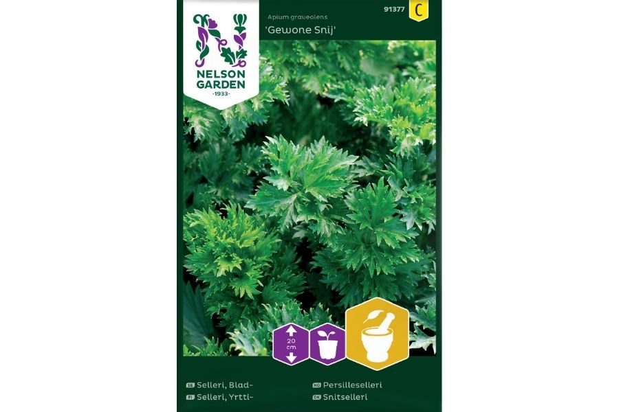 Persilleselleri 'Gewone Snij' – Aromatisk bladgrønnsak med smak av selleri