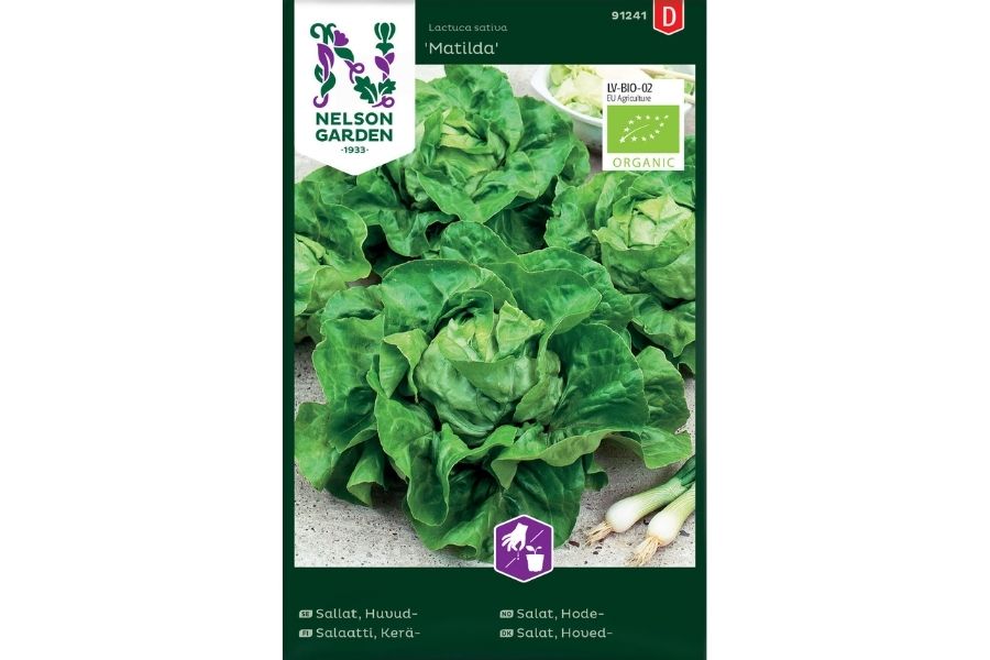 Salat, Hode-, Matilda, Økologisk