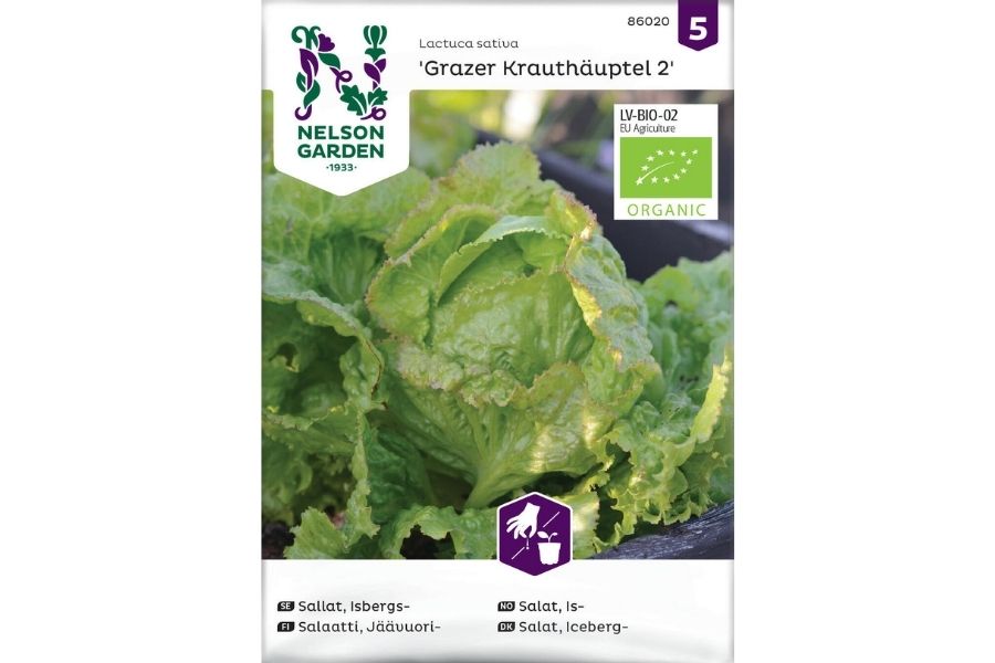 Salat, Is-, Grazer Krauthäuptel 2- Økologisk