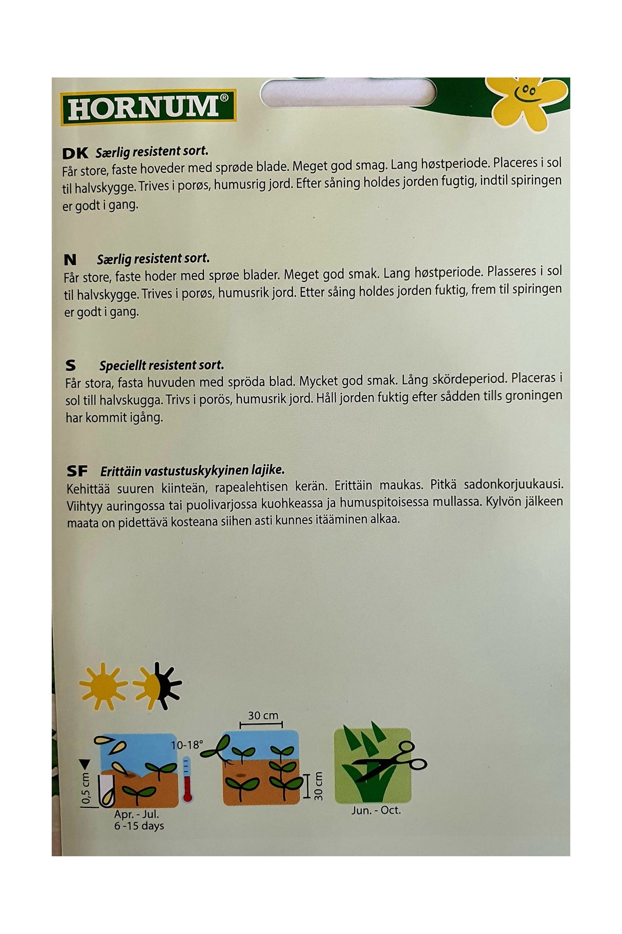 Salatfrø – Isberg Calmar | Store, sprø og smakfulle hoder