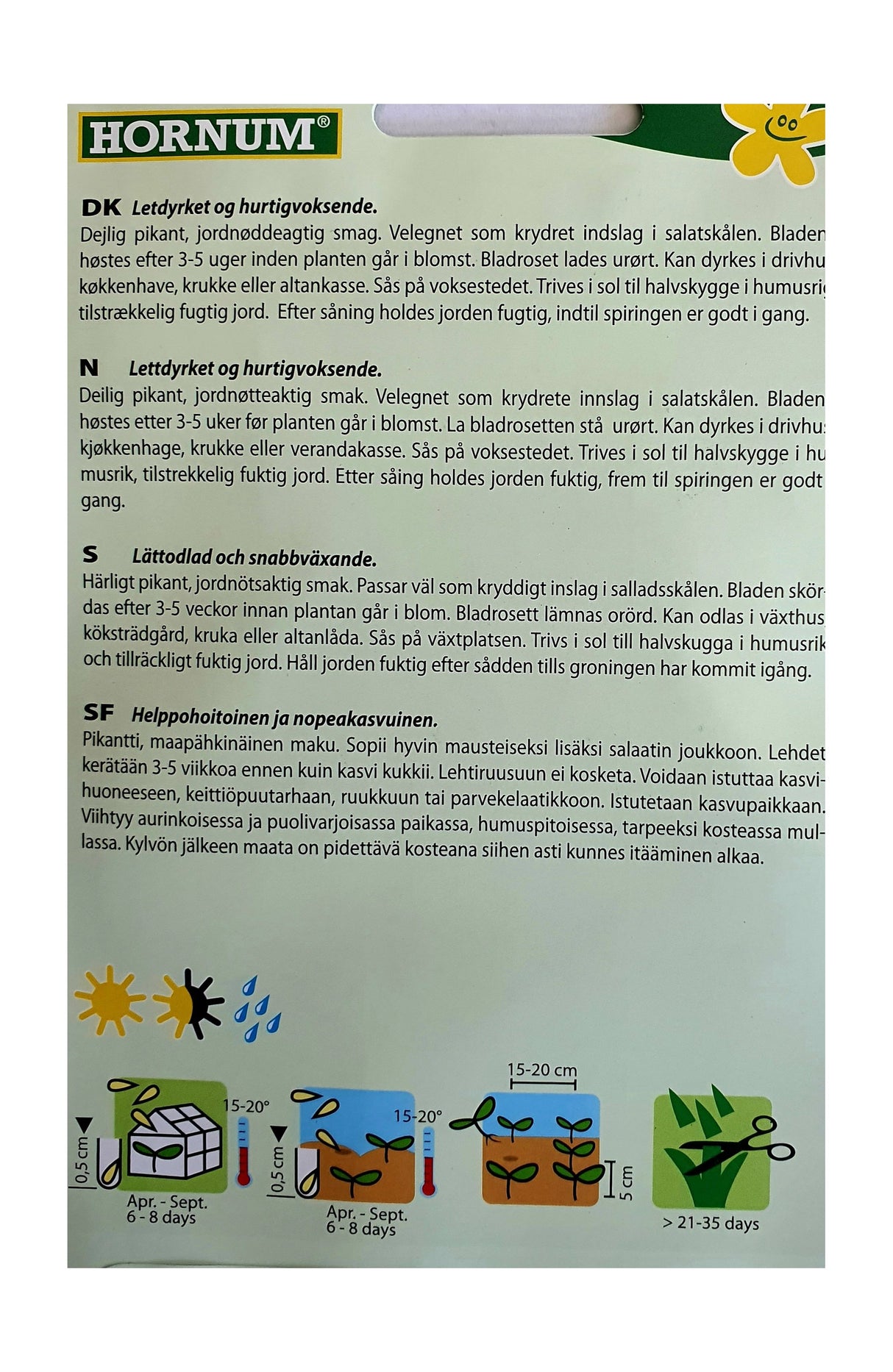 Salatsennep Rucola - ØKOLOGISK