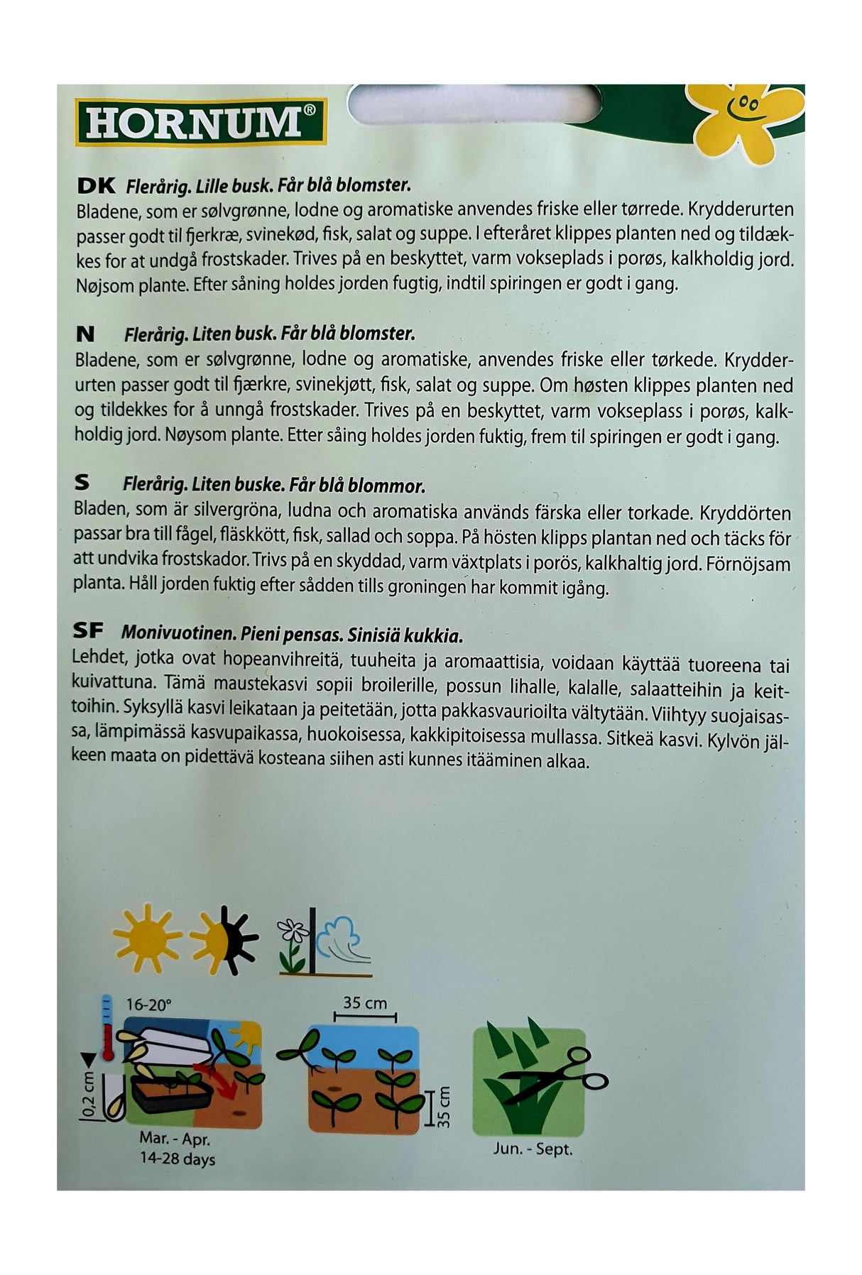 Salvie Lege Allerlei – Flerårig urt med aromatiske blader