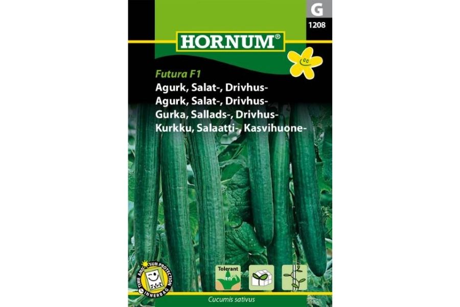 Agurk 'Futura' – Salatagurk for Drivhus
