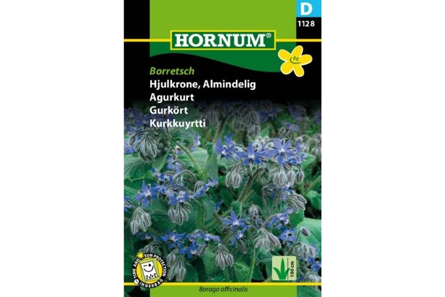 Agurkurt (Borretsch) – Spiselig urt med blå blomster