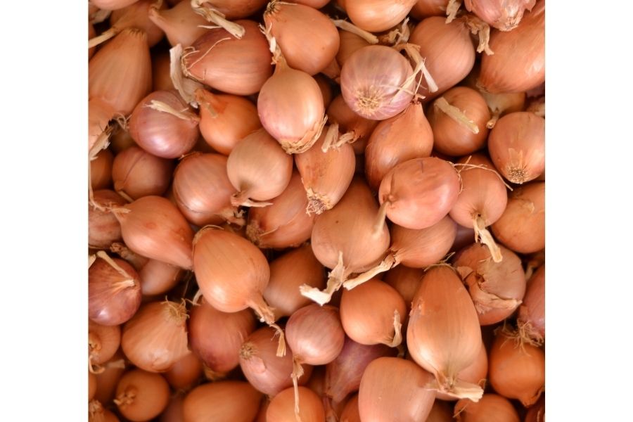 Setteløk - norskprodusert