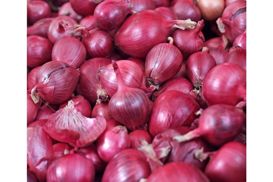 Setteløk ‘Red Baron’ 0,5 kg – Norskprodusert Hovedsort med Intens Rødfarge