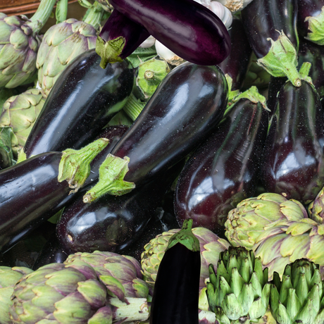 Aubergine og Artisjokk