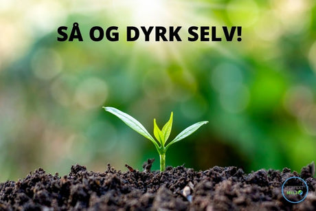 Dyrk selv