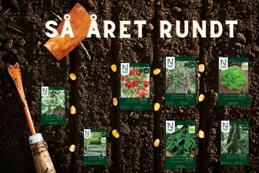 Året rundt