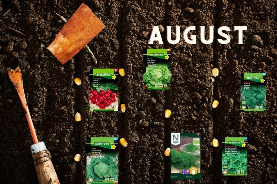 August