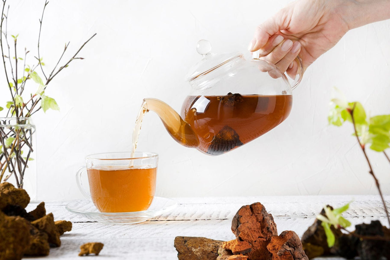 Chaga