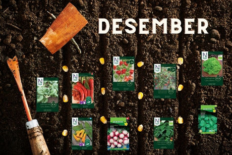 Desember