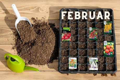 Februar