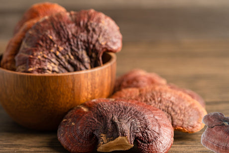 Reishi