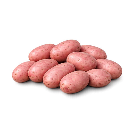 Settepotet ‘Evolution’ med rødt skall klare til planting.