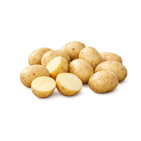 Tidlige poteter av sorten ‘Colomba’ med jevnt skall og lys farge.