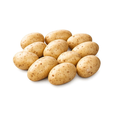 Settepotet ‘Folva’ med gult skall klare til planting.