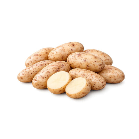 Settepotet ‘Kerrs Pink’ med lyst skall og rosa flekker klare til planting.