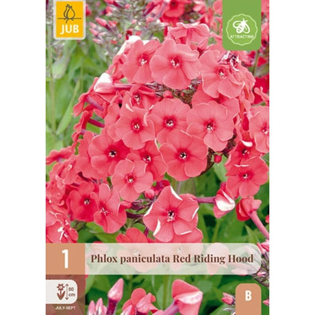 Rød floks Red Riding Hood i full blomst