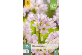 Vill-løk med små, sølvrosa blomster i løse klaser.