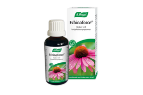 Flaske med A.Vogel Echinaforce solhatt-tinktur for immunstøtte.