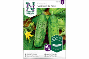 Små, grønne agurker klare for sylting vises på planten.