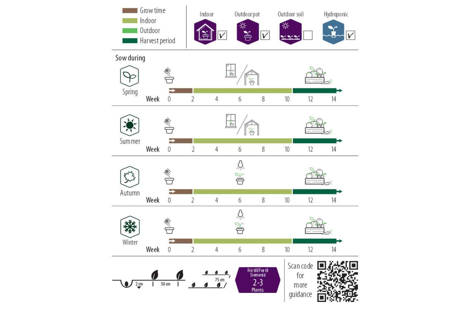 Agurk, Potte-, Baby F1