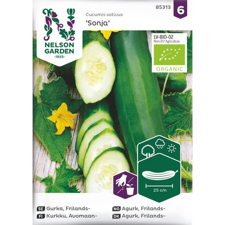 Økologisk agurk ‘Sonja’ på plante i friland