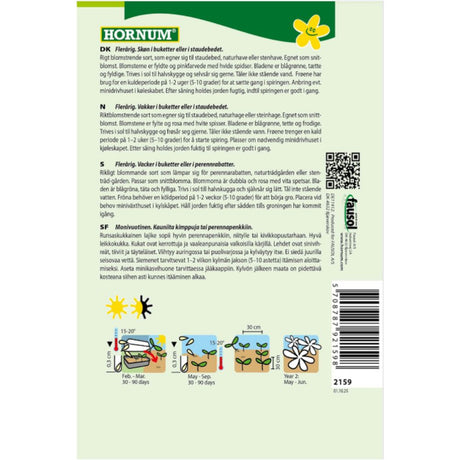 Romantisk akeleie i blomsterbed