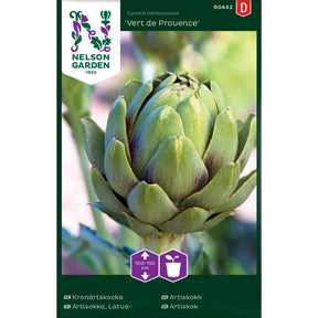 Artiskokk Vert de Provence plante med store grønne blader i hage