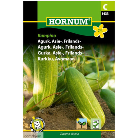 Asieagurk ‘Kampino’ dyrket i friland