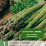 Grønn asparges ‘Gijnlim’ med rette, sprø skudd dyrket i solrik kjøkkenhage.